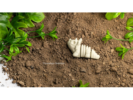 Bebé Triceratops Esqueleto Kawaii - Llavero o Figura Decorativa | Zou3D
