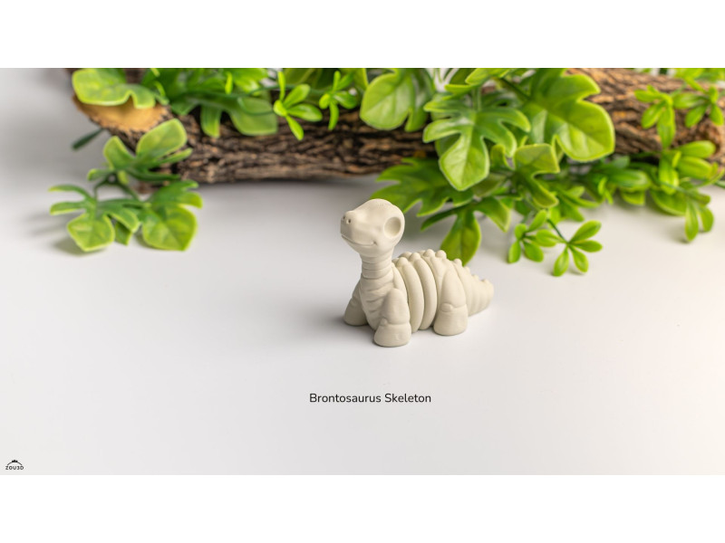 Bebé Brontosaurio Esqueleto Kawaii - Llavero o Figura Decorativa | Zou3D