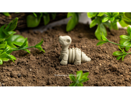 Bebé Brontosaurio Esqueleto Kawaii - Llavero o Figura Decorativa | Zou3D