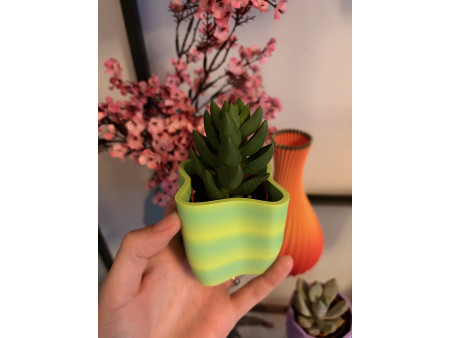 Maceta Mini - Summer