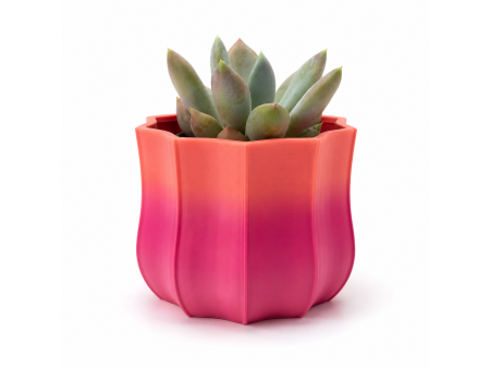 Maceta Mini - Spring