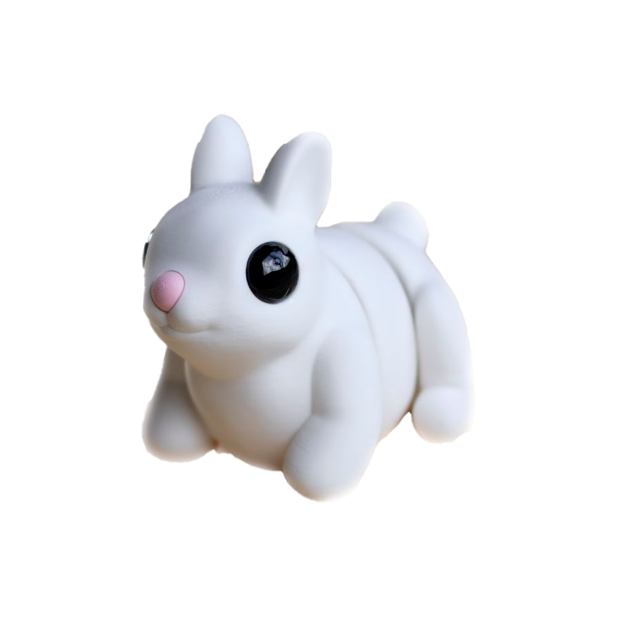 Conejo