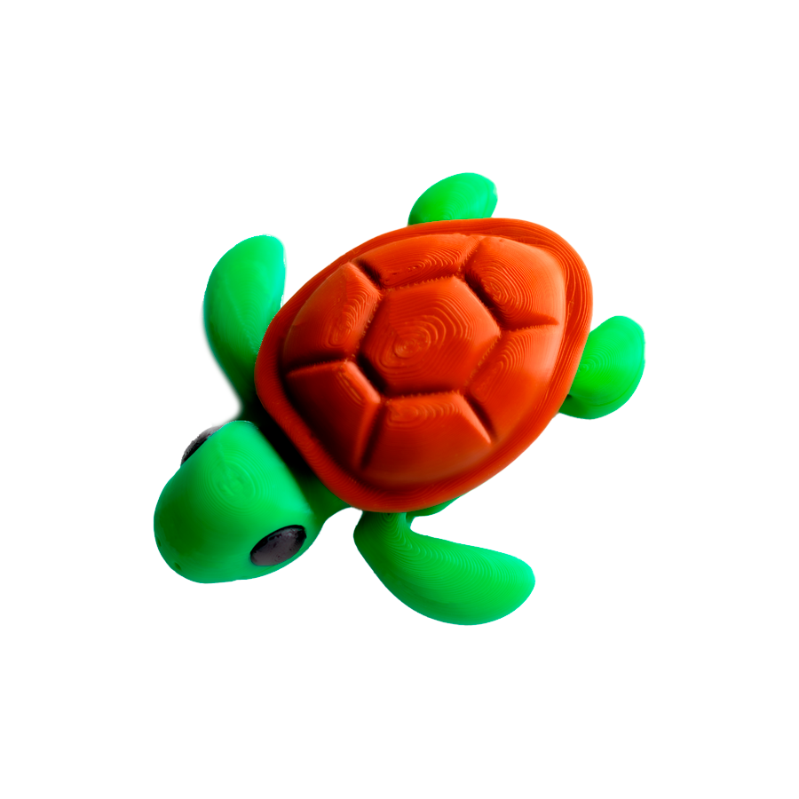 Tortuga