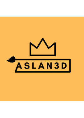 Aslan3D